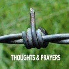 FB_IMG_1594855265669