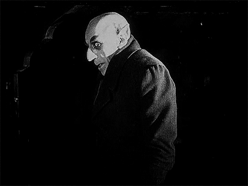 n%20gif