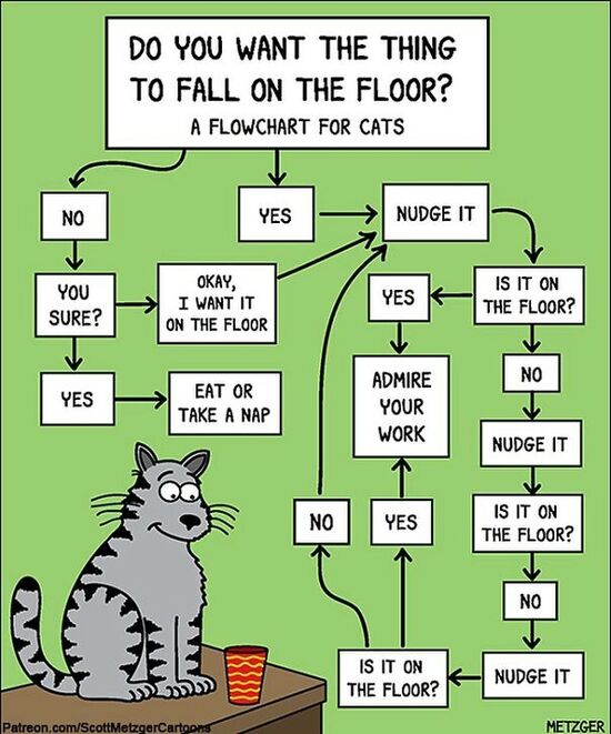catstuff