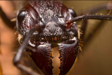 Screen Shot 2022-10-27 at 7.39.25 AM