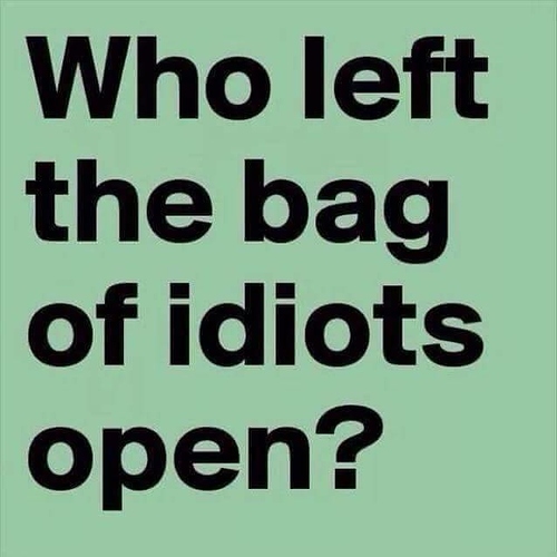 bag%20of%20idiots
