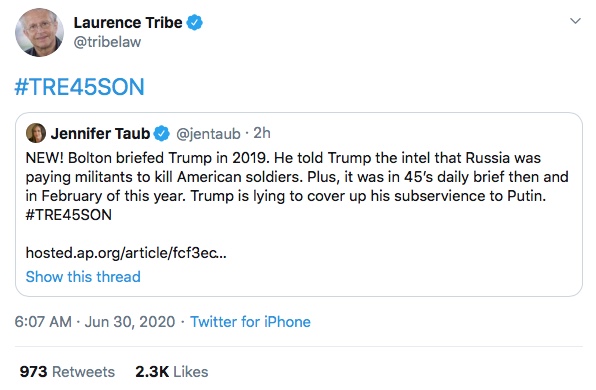 Tribe-TrumpBrief2019