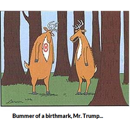 bummer%20of%20a%20birthmark%20-Mr%20Trump%20-%209-30-20