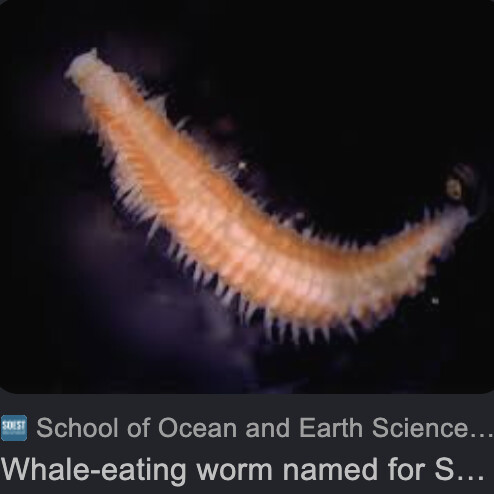 Screenshot 2026-01-29 at 10.22.15 AM