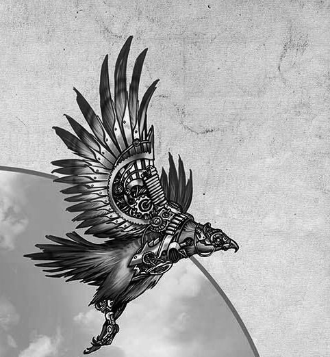 bird
