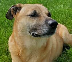 Resized_20220720_063344