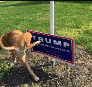 B4CFCB16-4E03-4A62-9FE9-85F796C83C42